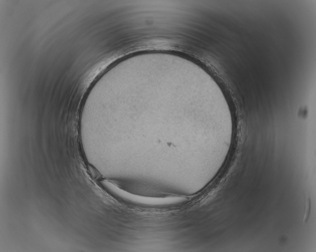 X0000115611081200912221202