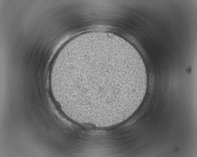 X0000115611083200912221202