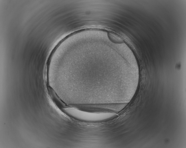 X0000115611084200912221202