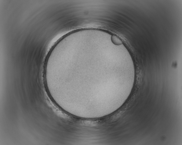 X0000115611086200912221202