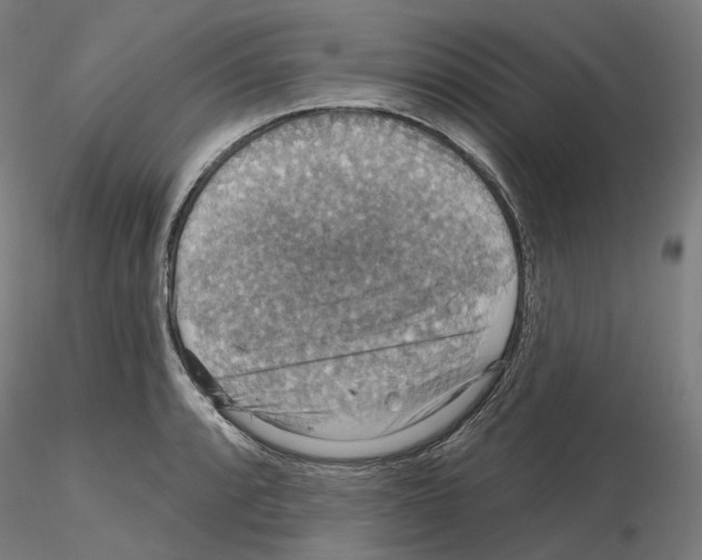 X0000115611088200912221202