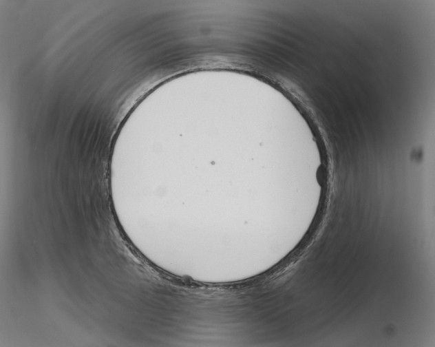 X0000115611089200912221202