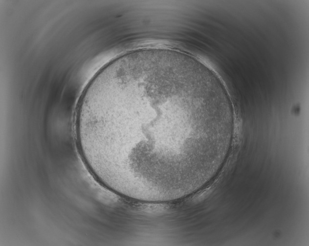 X0000115611090200912221202