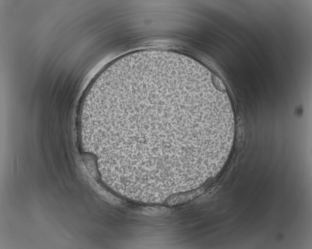 X0000115611091200912221202
