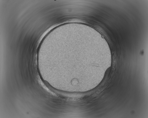 X0000115611092200912221202
