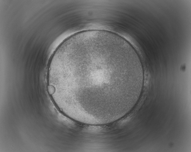 X0000115611094200912221202