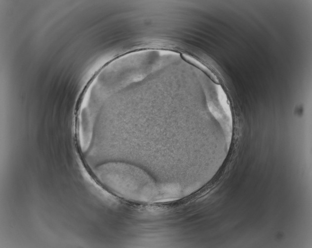 X0000115611095200912221202