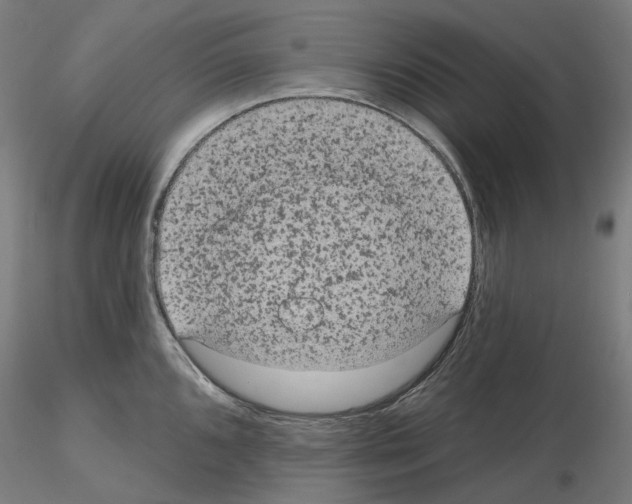 X0000115611096200912221202