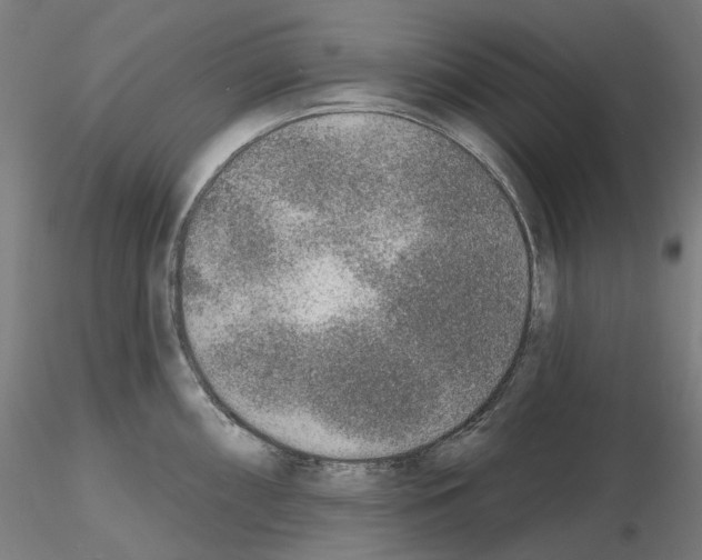 X0000115611098200912221202