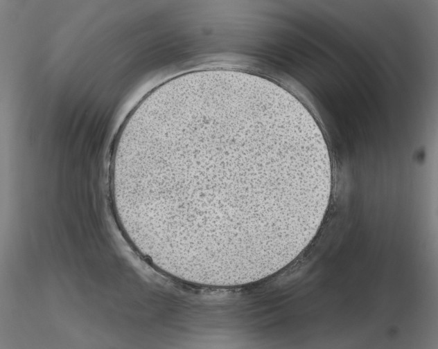 X0000115611099200912221202