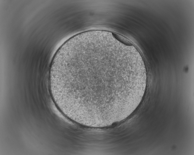 X0000115611100200912221202