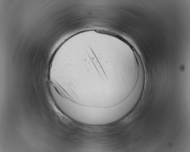 X0000115611101200912221202