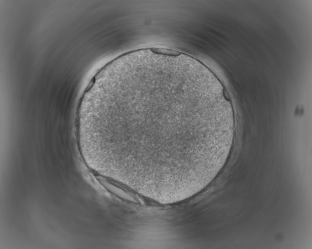 X0000115611104200912221202