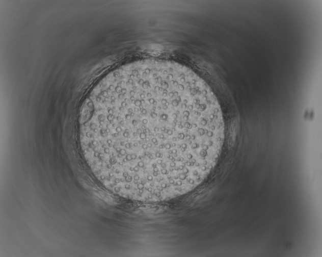 X0000115611105200912221201