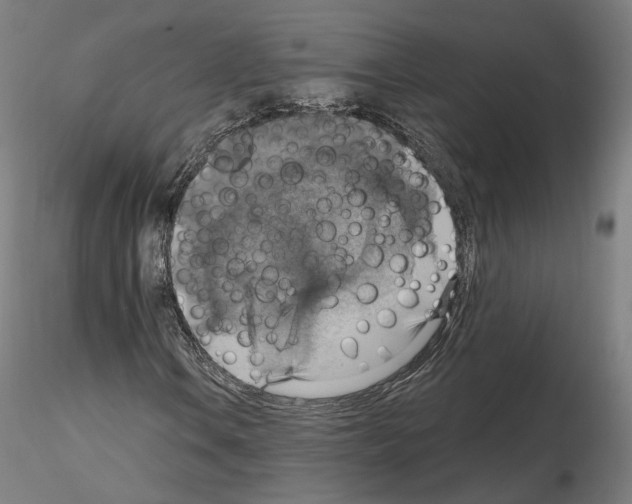 X0000115611106200912221201