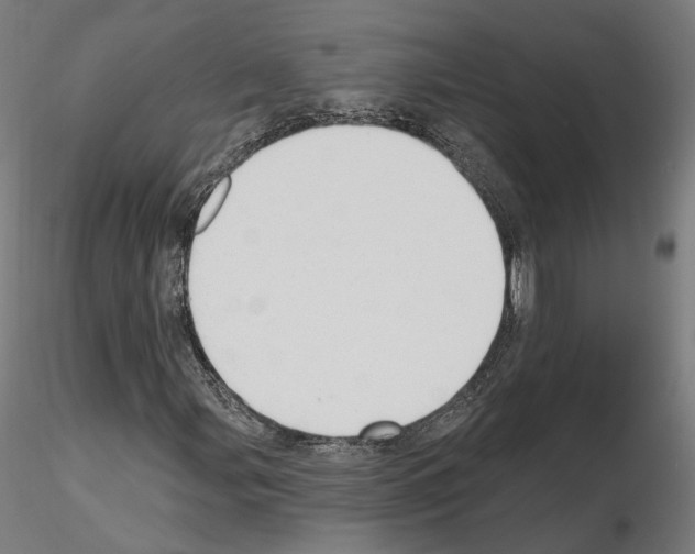 X0000115611107200912221201