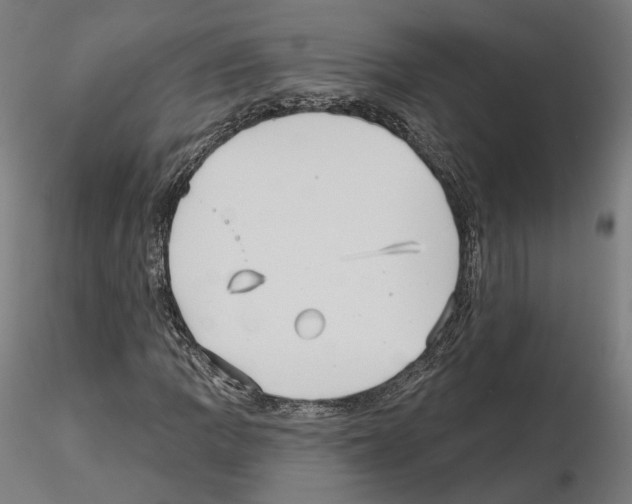 X0000115611109200912221201