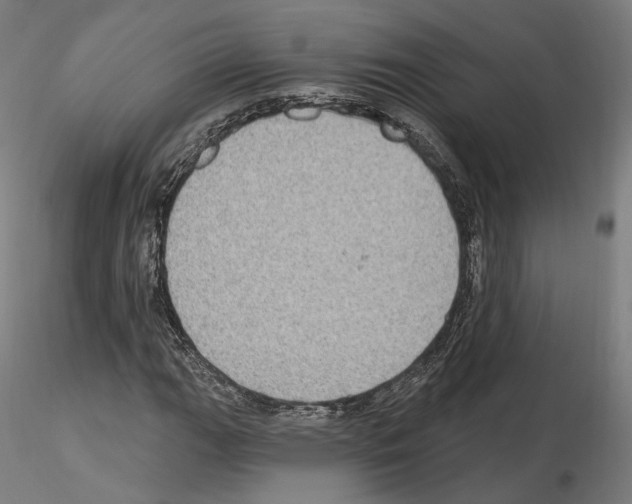 X0000115611111200912221201
