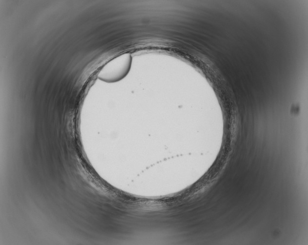 X0000115611113200912221201