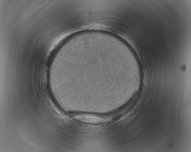 X0000115611115200912221201