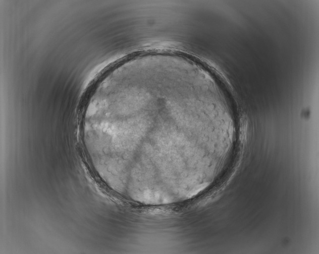 X0000115611117200912221201