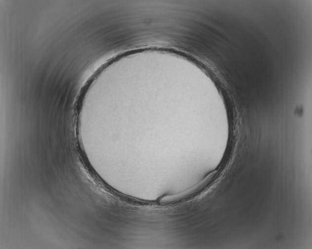 X0000115611118200912221201