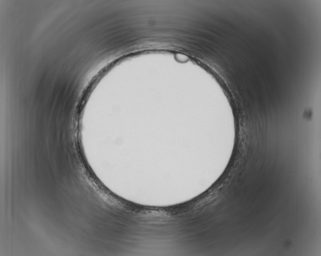 X0000115611119200912221201