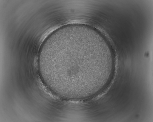 X0000115611121200912221201