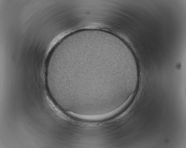 X0000115611122200912221201