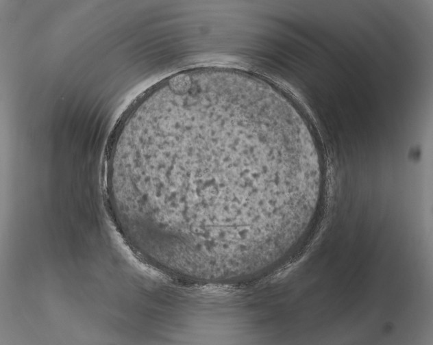 X0000115611125200912221201