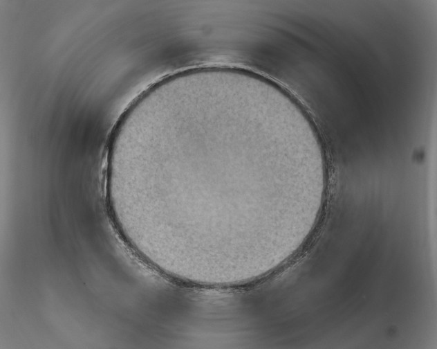 X0000115611126200912221201