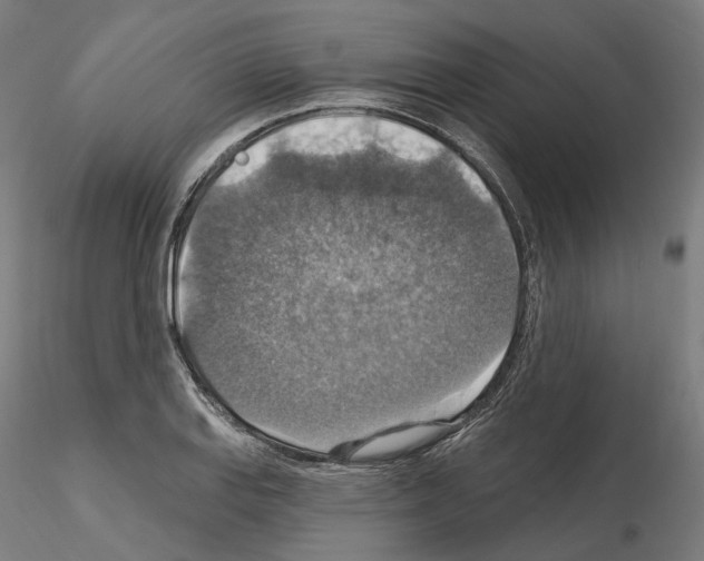 X0000115611127200912221201