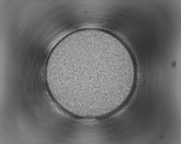 X0000115611129200912221201