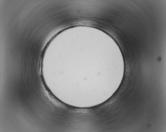 X0000115611131200912221201