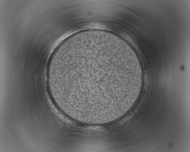 X0000115611133200912221201