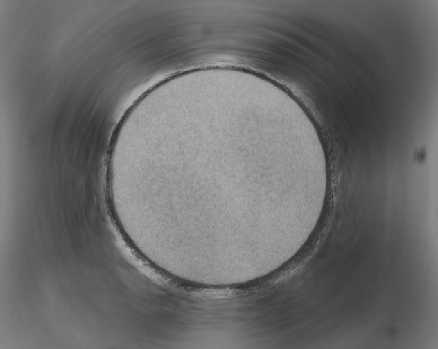 X0000115611134200912221201