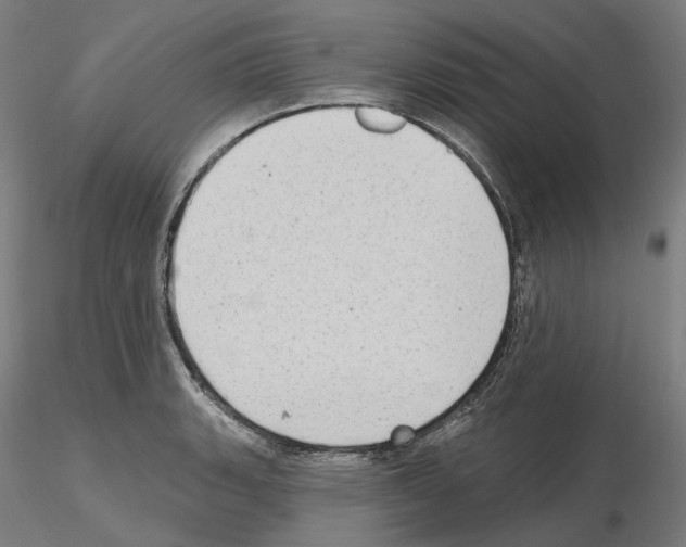 X0000115611135200912221201