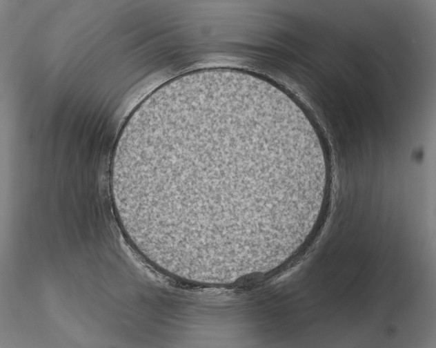 X0000115611137200912221201