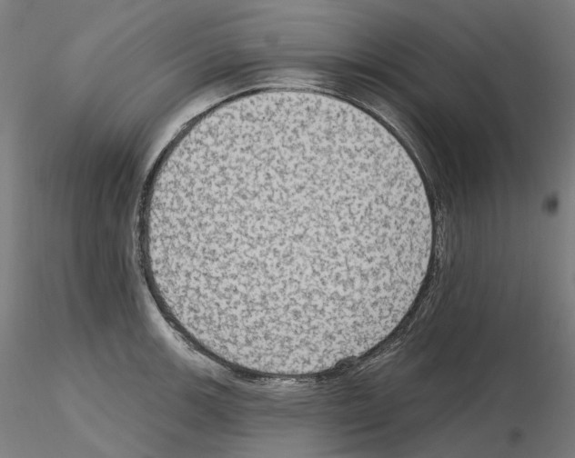 X0000115611139200912221202