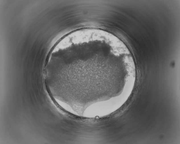 X0000115611141200912221202