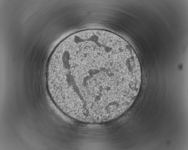 X0000115611142200912221202