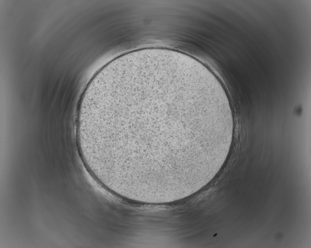 X0000115611143200912221202