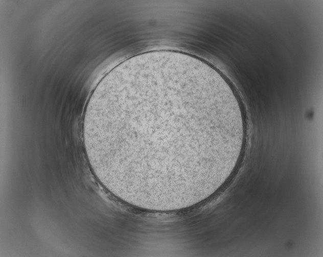 X0000115611145200912221202