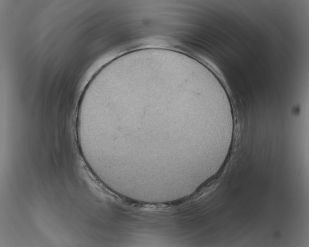 X0000115611146200912221202