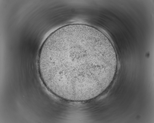 X0000115611149200912221202