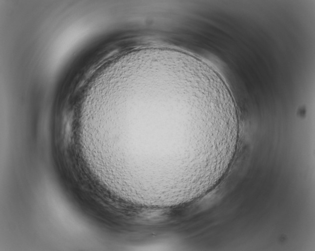 X0000115611150200912221202