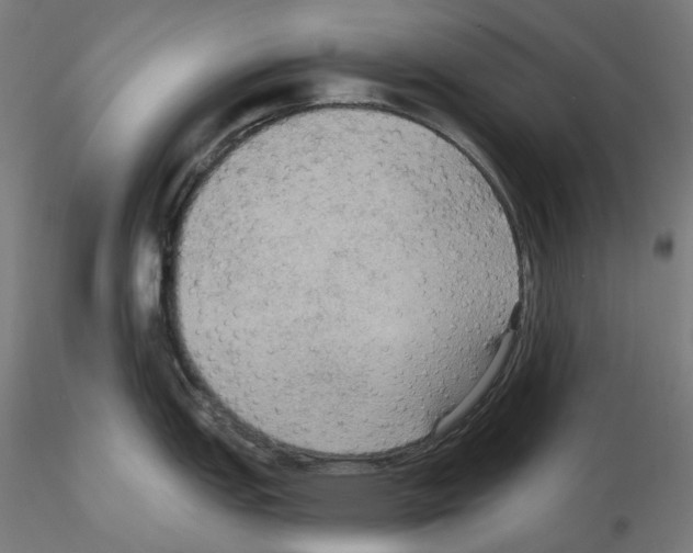 X0000115611151200912221202