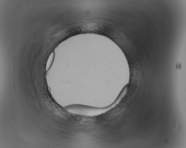 X0000115611153200912221201