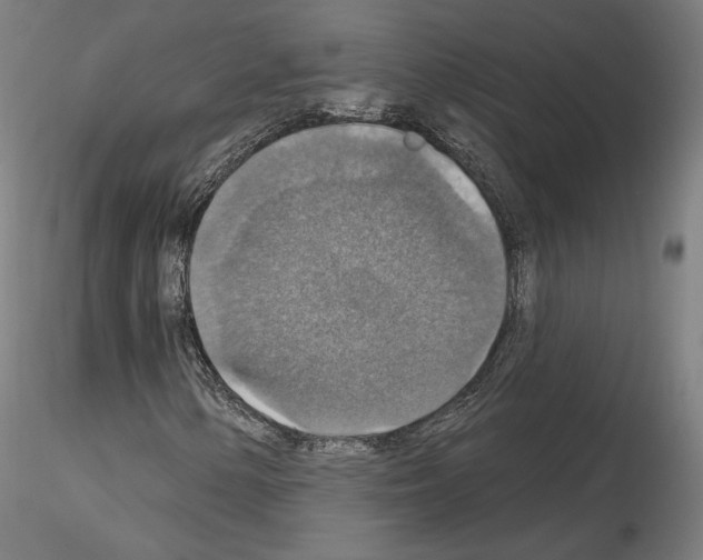 X0000115611154200912221201