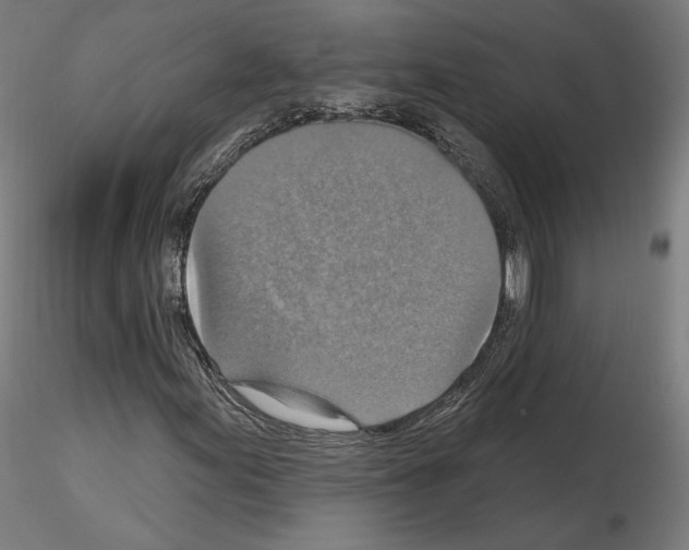 X0000115611155200912221201